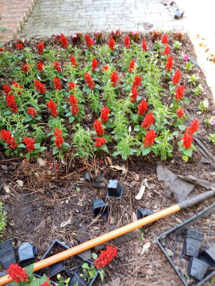 Professional landscape design for year-round maintenance in Shreveport, LA by A1 Landscaping