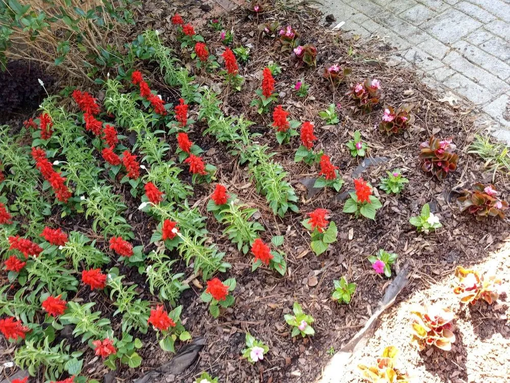 Expert garden landscaping for beautiful yards across Shreveport, LA - A1 Landscaping