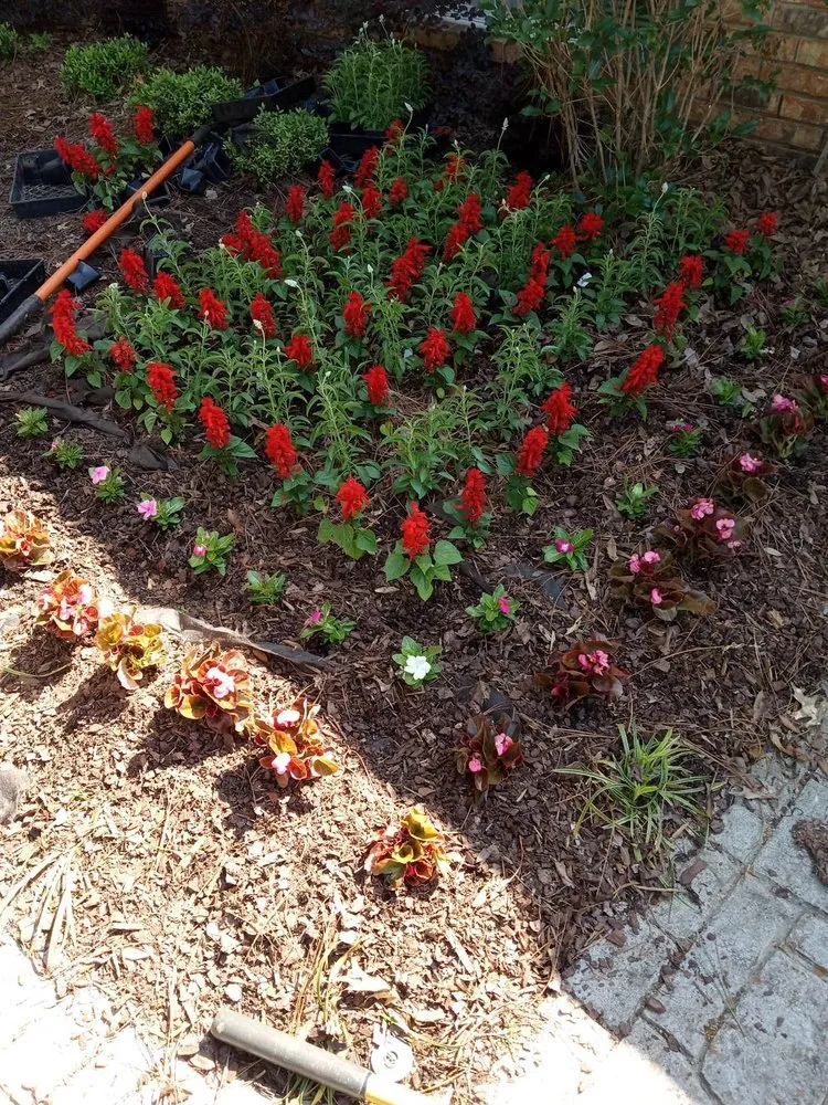Reliable outdoor landscaping in Shreveport, LA by A1 Landscaping