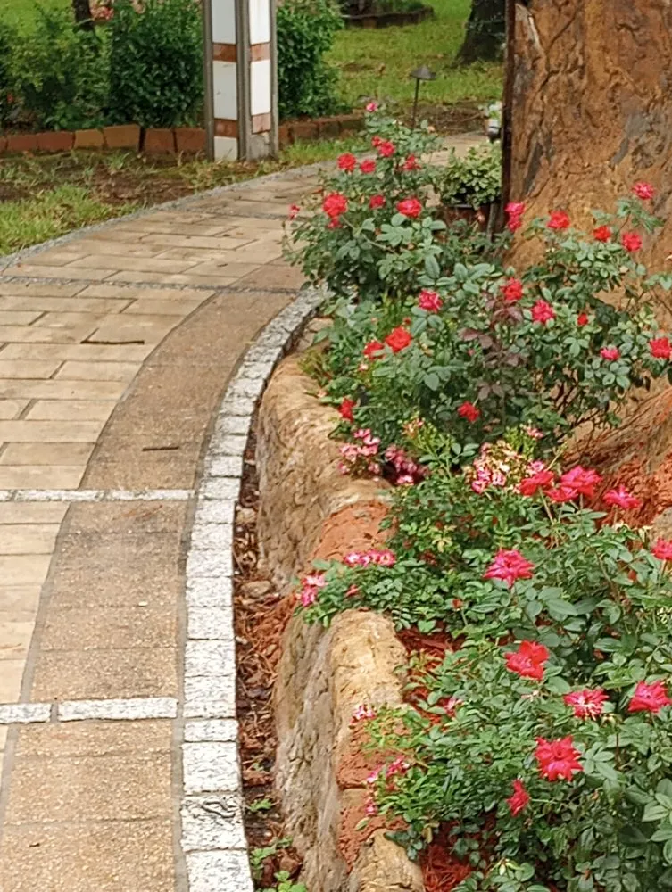 Professional lawn care service experts serving Slidell, LA - A1 Landscaping