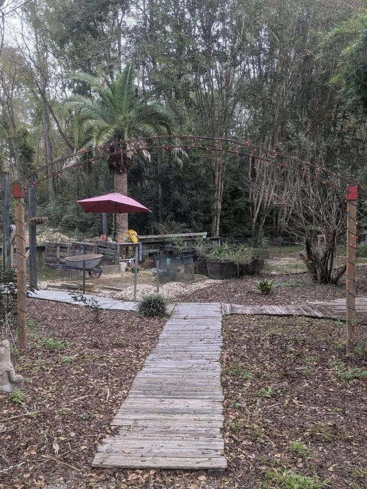 Custom lawn care service for year-round maintenance across Slidell, LA - A1 Landscaping