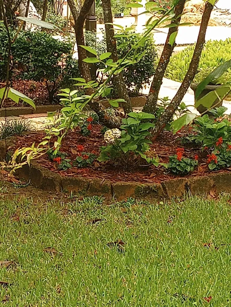 Affordable yard cleanup service for beautiful yards in Slidell, LA by A1 Landscaping