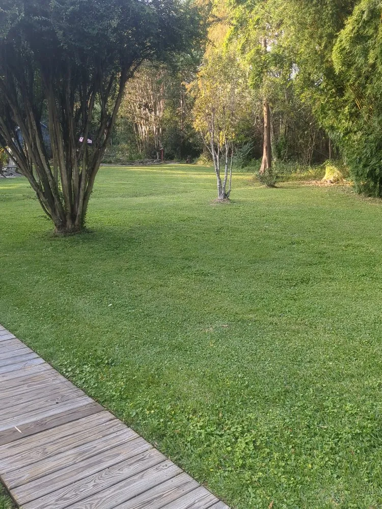 Local landscape design for beautiful yards across Slidell, LA - A1 Landscaping