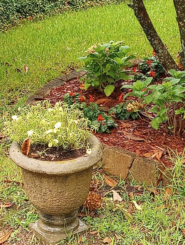 Trusted lawn care service for beautiful yards in Slidell, LA by A1 Landscaping