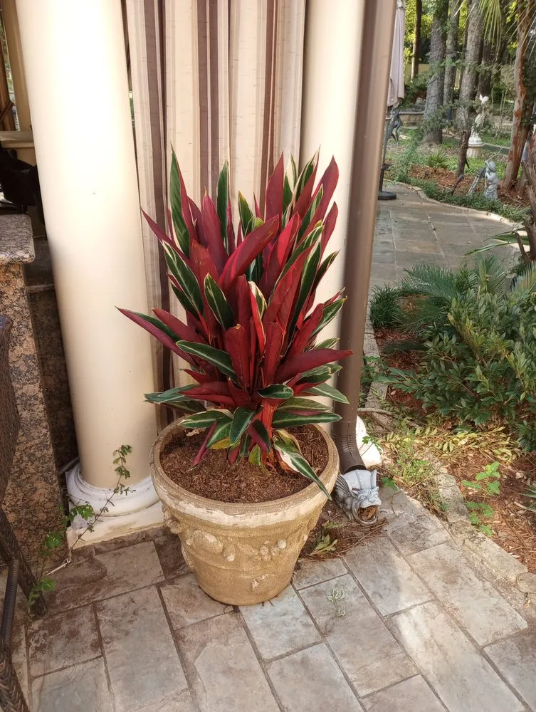 Expert lawn mowing service for residential properties across Slidell, LA - A1 Landscaping