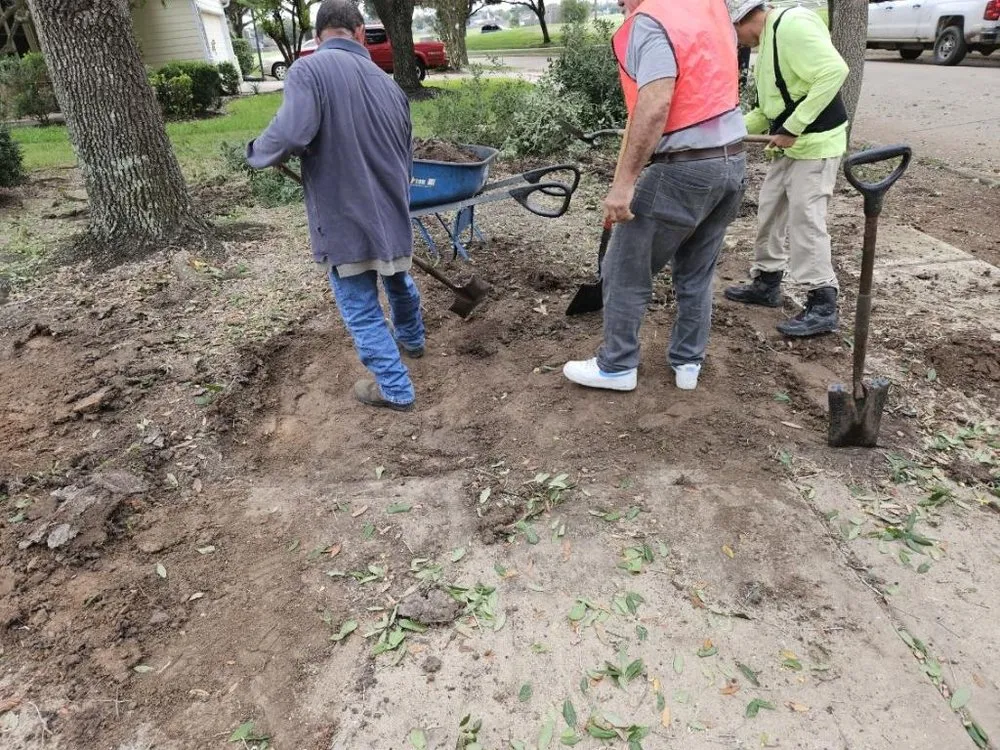 Affordable residential landscaping in Sugar Land, TX - A1 Landscaping