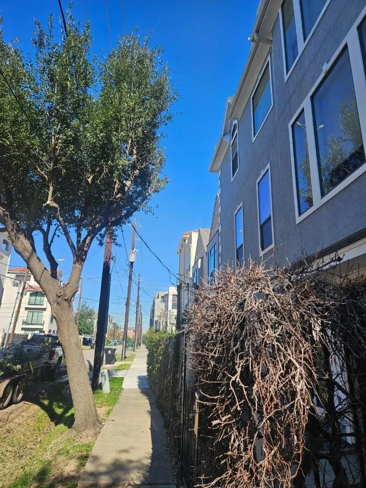 Expert residential landscaping experts serving Sugar Land, TX - A1 Landscaping