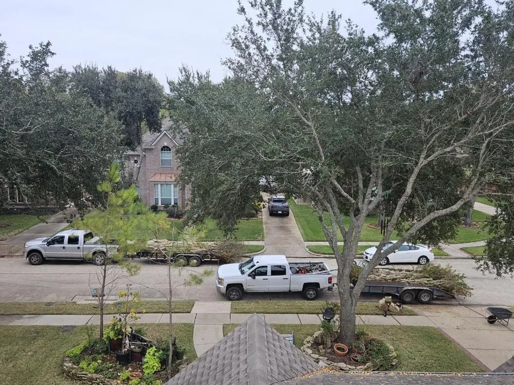 Expert yard maintenance in Sugar Land, TX by A1 Landscaping