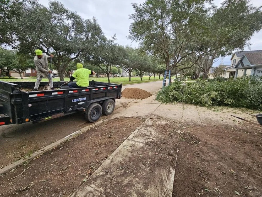 Local yard cleanup service near you across Sugar Land, TX - A1 Landscaping