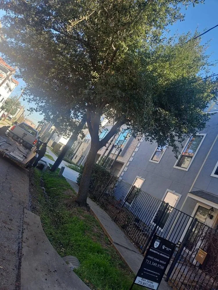 Local residential landscaping in Sugar Land, TX - A1 Landscaping