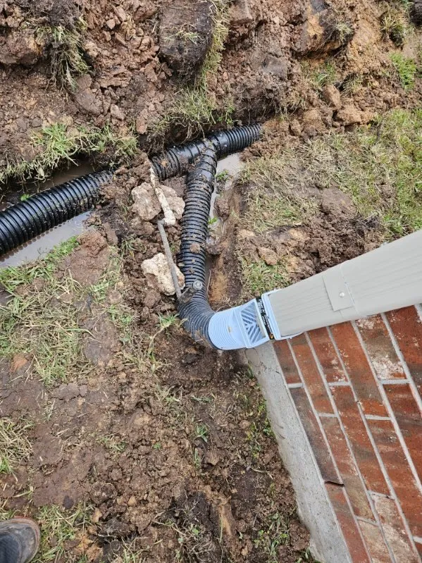 Local yard maintenance experts serving Sugar Land, TX - A1 Landscaping