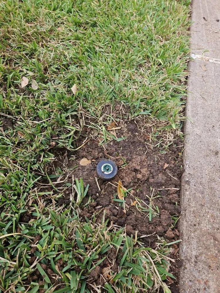 Top-rated garden landscaping for homes across Sugar Land, TX - A1 Landscaping