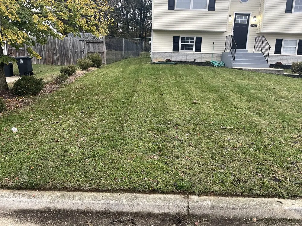 Trusted landscape installation experts serving Temple Hills, MD - A1 Landscaping