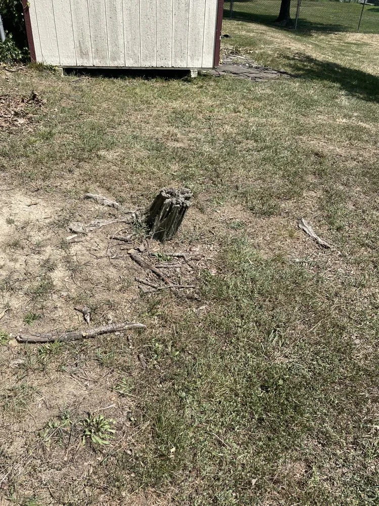 Local lawn mowing service experts serving Temple Hills, MD - A1 Landscaping