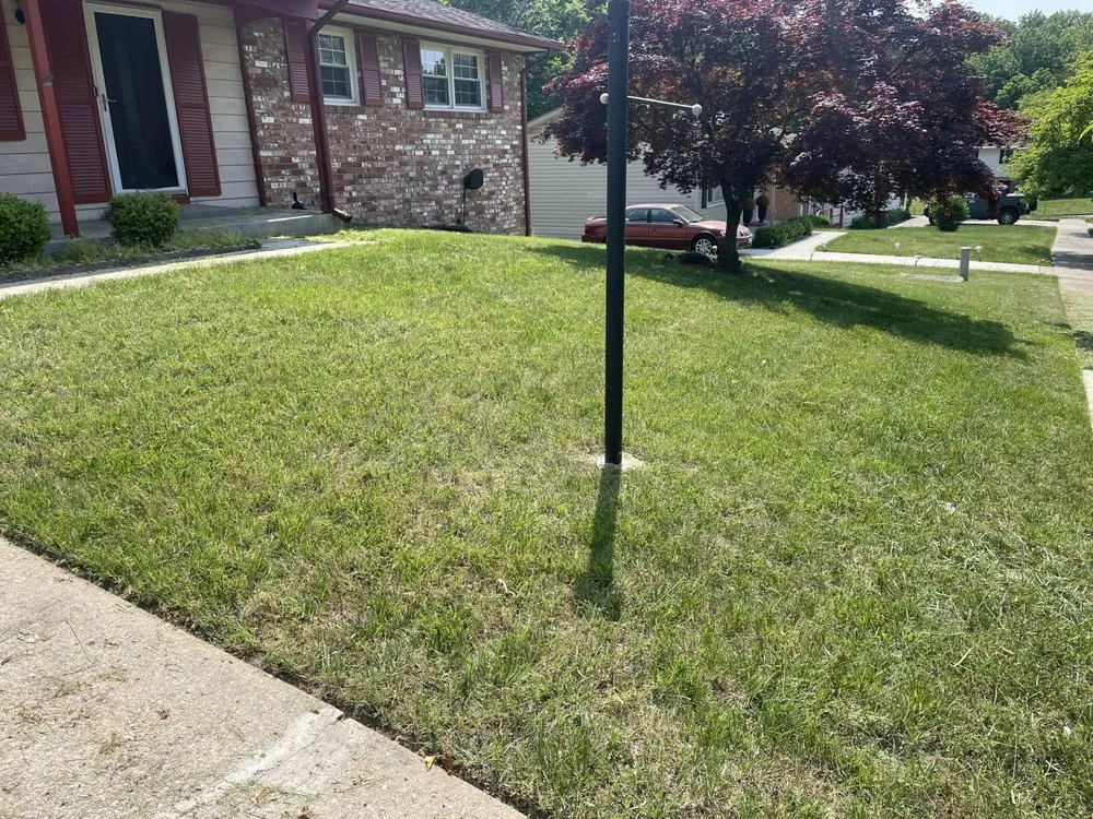 Affordable landscape installation for beautiful yards in Temple Hills, MD by A1 Landscaping