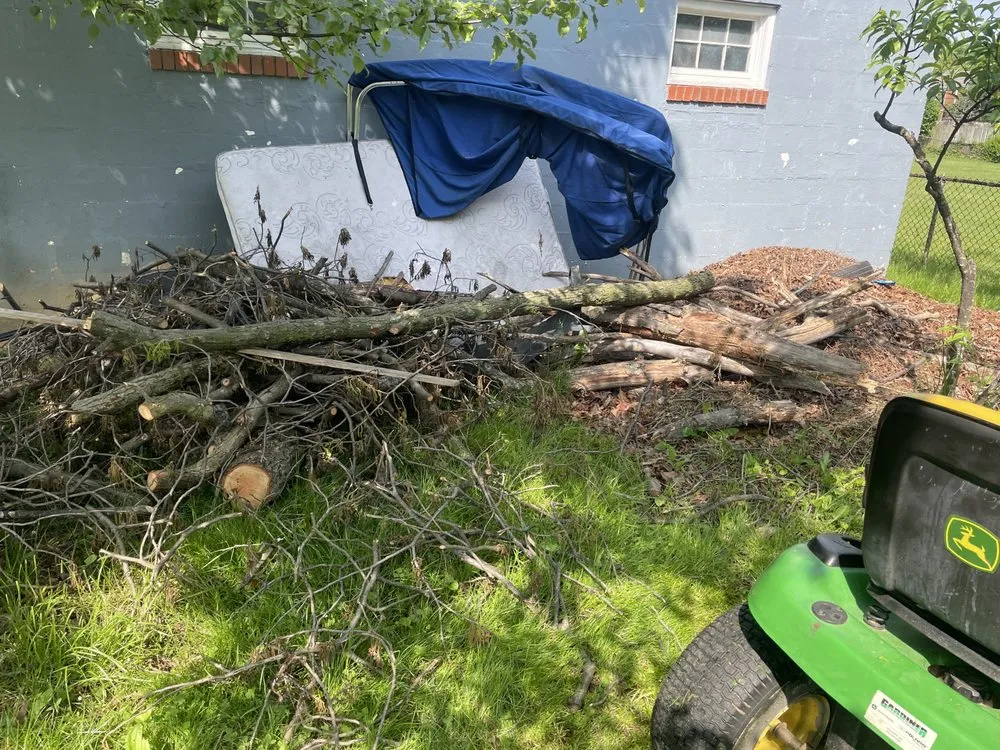 Professional landscape design experts serving Temple Hills, MD - A1 Landscaping