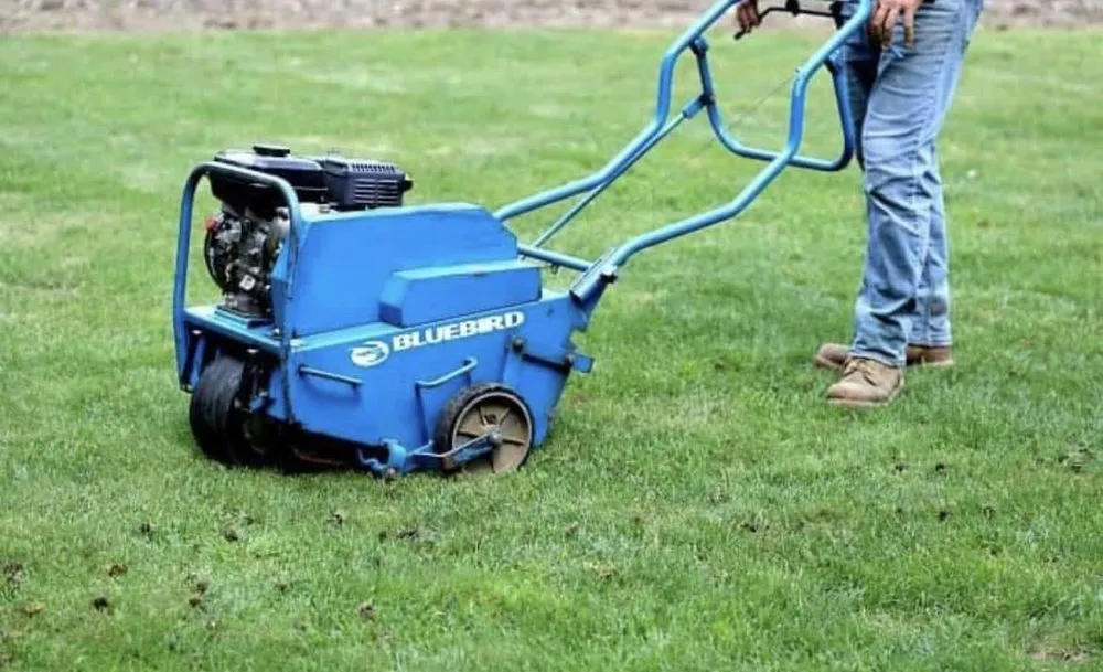 Top-rated landscape design experts serving Longmont, CO - A1 Lawn & Junk