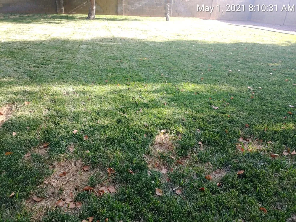 Expert garden landscaping experts serving Tempe, AZ - A1 Lawn Aeration