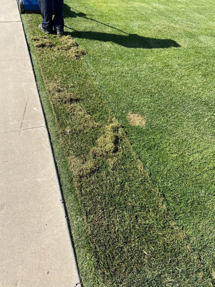 Affordable landscape installation in Tempe, AZ by A1 Lawn Aeration