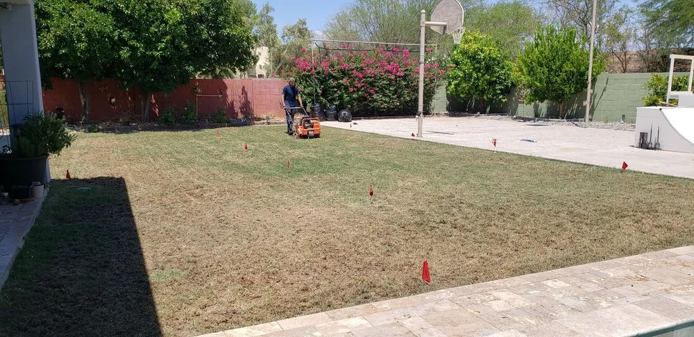 Top-rated yard cleanup service in Tempe, AZ - A1 Lawn Aeration