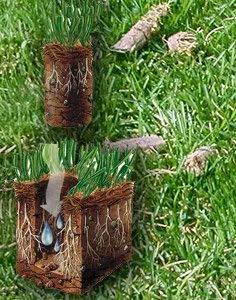 Trusted lawn mowing service for residential properties across Tempe, AZ - A1 Lawn Aeration