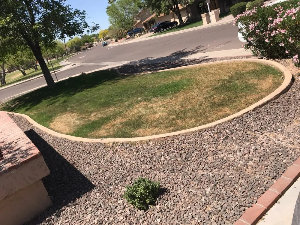 Professional landscaping services for outdoor upgrades across Tempe, AZ - A1 Lawn Aeration