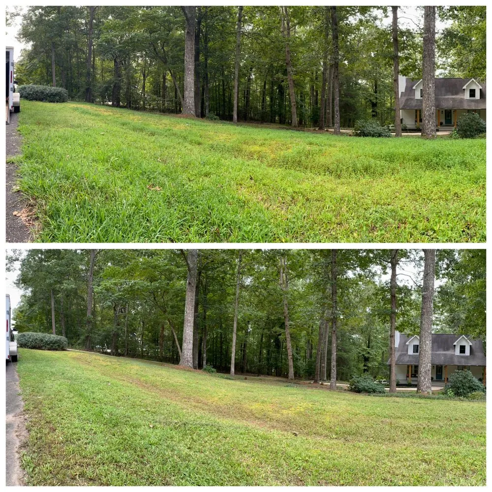 Affordable outdoor landscaping for year-round maintenance across Suwanee, GA - A1 Lawn and Outdoor Specialist