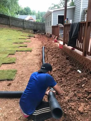 A1 Lawn and Outdoor Specialist Logo