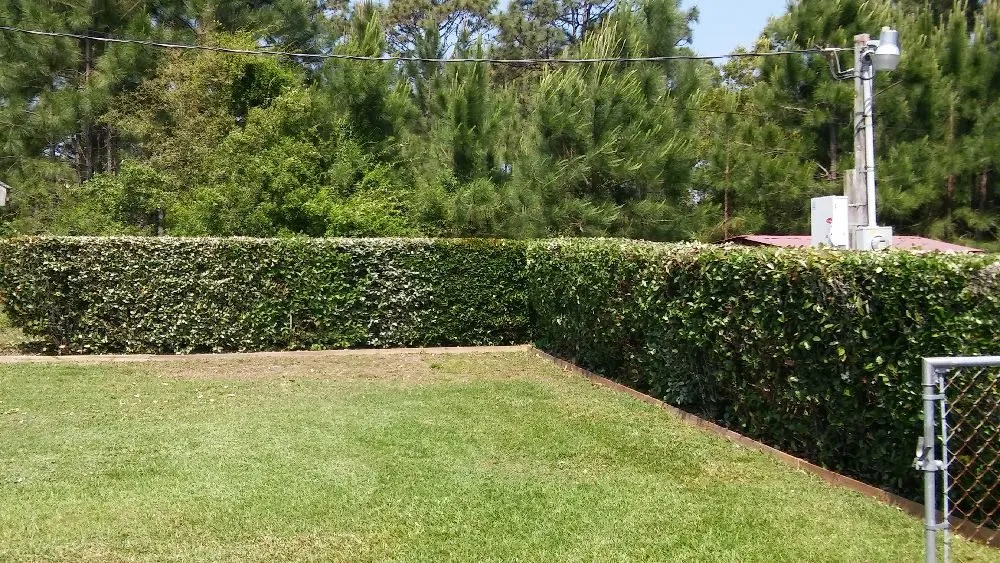 Top-rated lawn mowing service in Pensacola, FL - A1 Lawn Care & More