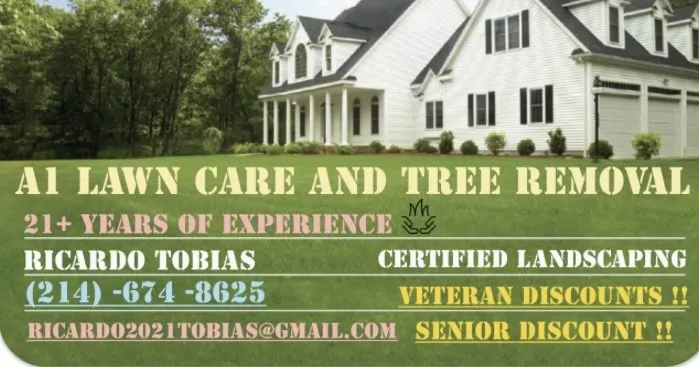 Affordable lawn care service in Glenn Heights, TX - A1 Lawn Care & Tree Removal