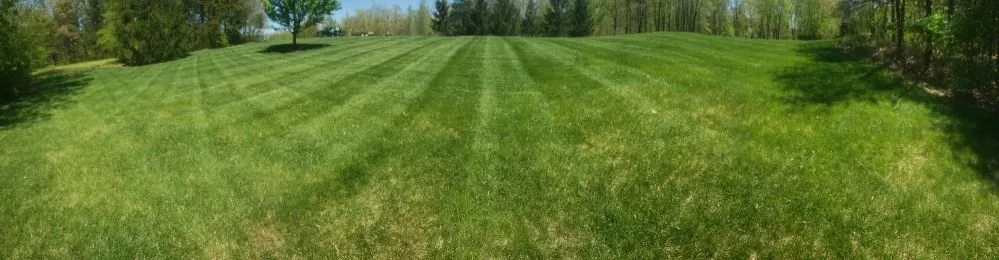 Custom yard cleanup service with custom design across Hallsville, MO - A1 Lawn Care and Landscaping