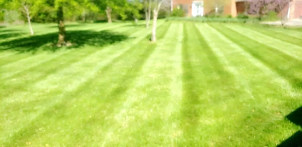 Expert landscape design near you in Hallsville, MO by A1 Lawn Care and Landscaping