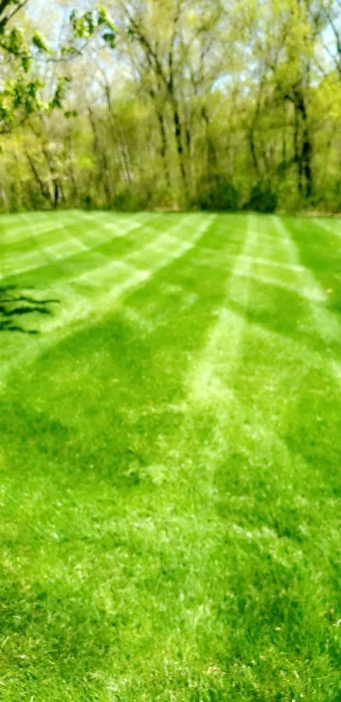 Local landscape installation in Hallsville, MO by A1 Lawn Care and Landscaping