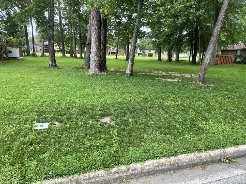 Professional yard cleanup service experts serving Channelview, TX - A1 Lawn Care