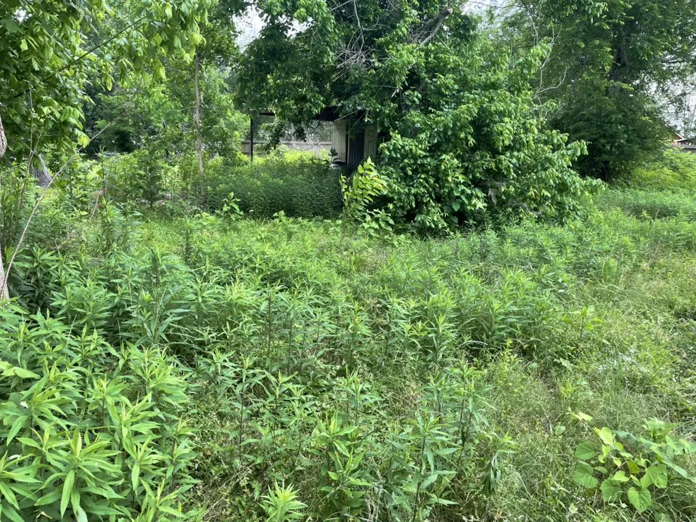 Trusted residential landscaping in Channelview, TX by A1 Lawn Care