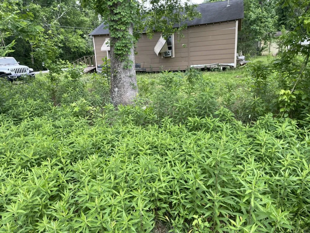 Local lawn mowing service experts serving Channelview, TX - A1 Lawn Care