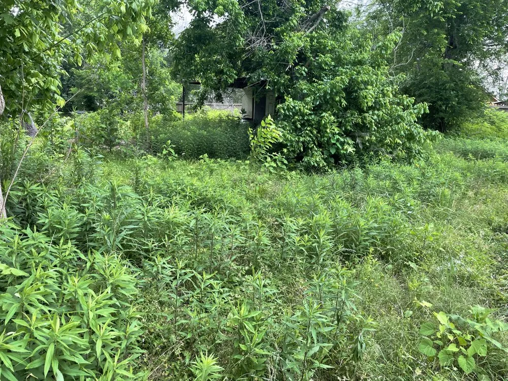 Affordable landscape design for outdoor upgrades in Channelview, TX by A1 Lawn Care