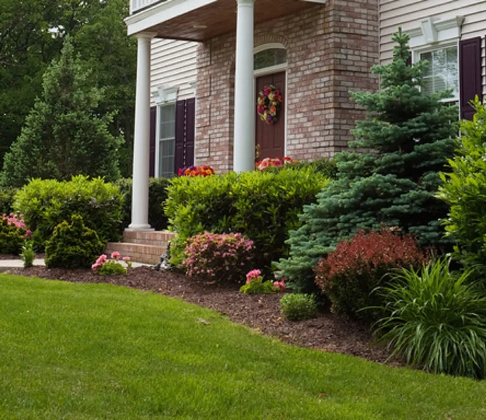 Expert landscaping services for residential properties across Colton, CA - A1 Lawn Care Plus