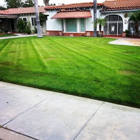 Reliable yard maintenance experts serving Colton, CA - A1 Lawn Care Plus