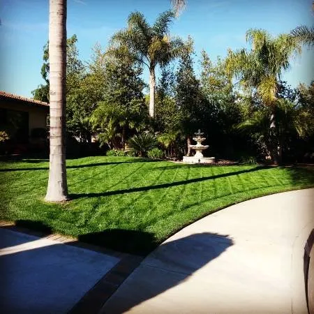 Professional landscape design with custom design in Colton, CA by A1 Lawn Care Plus
