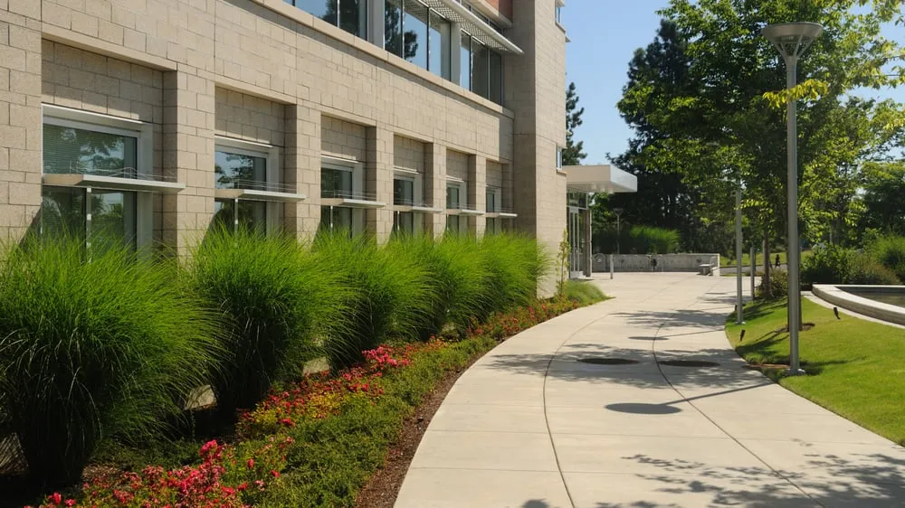 Professional landscaping services experts serving Colton, CA - A1 Lawn Care Plus