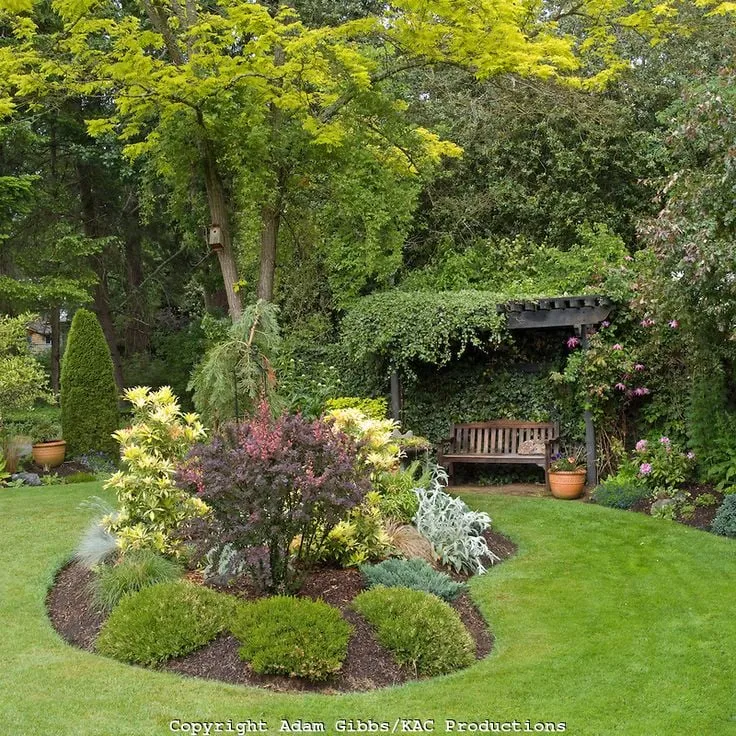 Expert lawn care service for residential properties across Colton, CA - A1 Lawn Care Plus