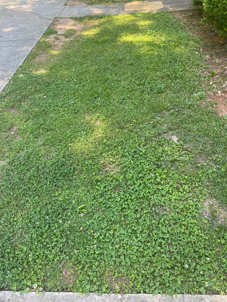 Expert landscape installation experts serving Ellenwood, GA - A1 Lawn Community