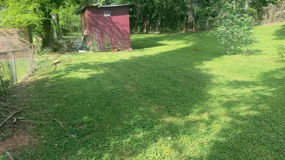 Reliable lawn care service for outdoor upgrades in Ellenwood, GA by A1 Lawn Community