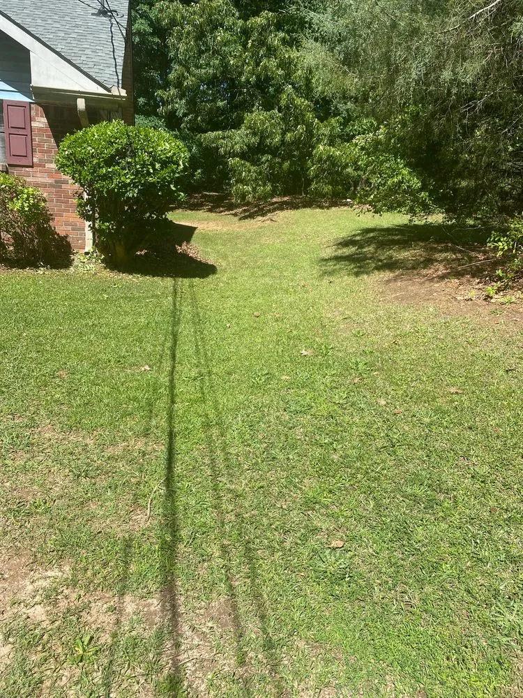 Top-rated yard maintenance near you in Ellenwood, GA by A1 Lawn Community