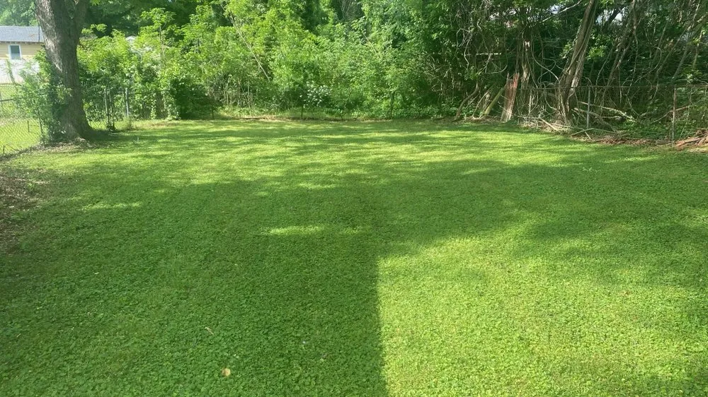 Reliable outdoor landscaping for year-round maintenance across Ellenwood, GA - A1 Lawn Community