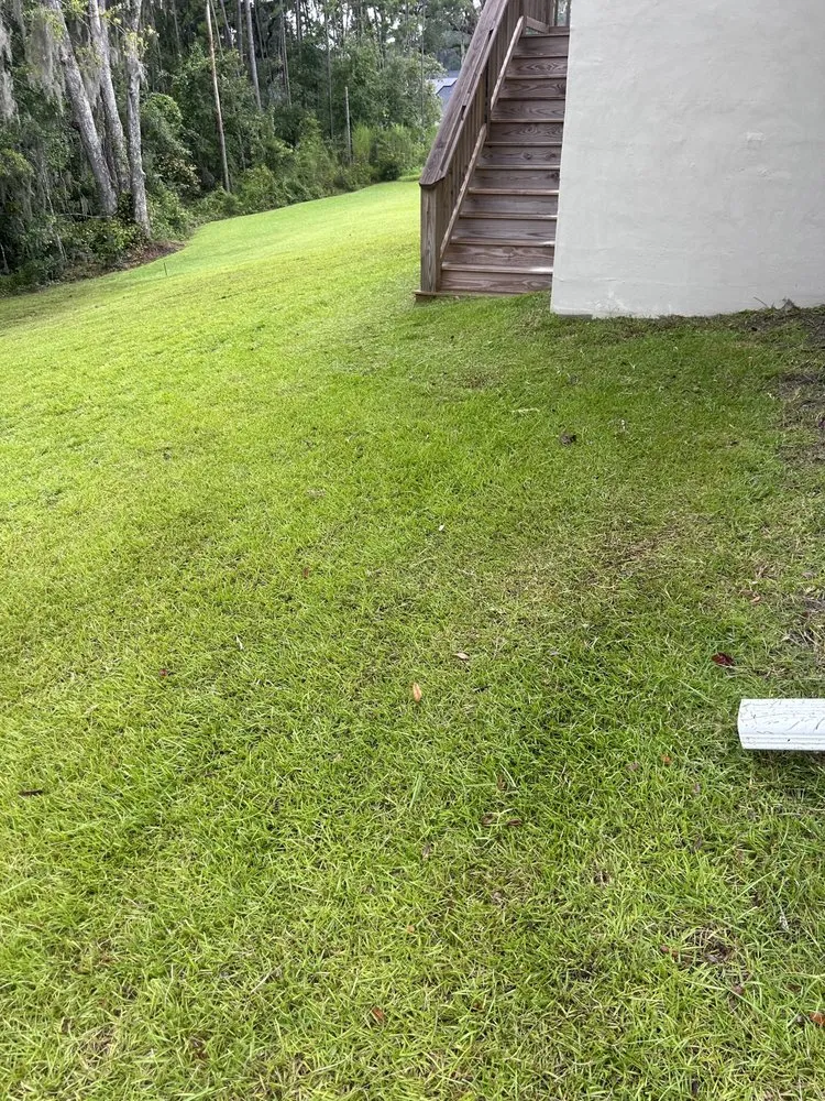 Custom lawn care service in Woodlynne, NJ - A1 Lawn Maintenance