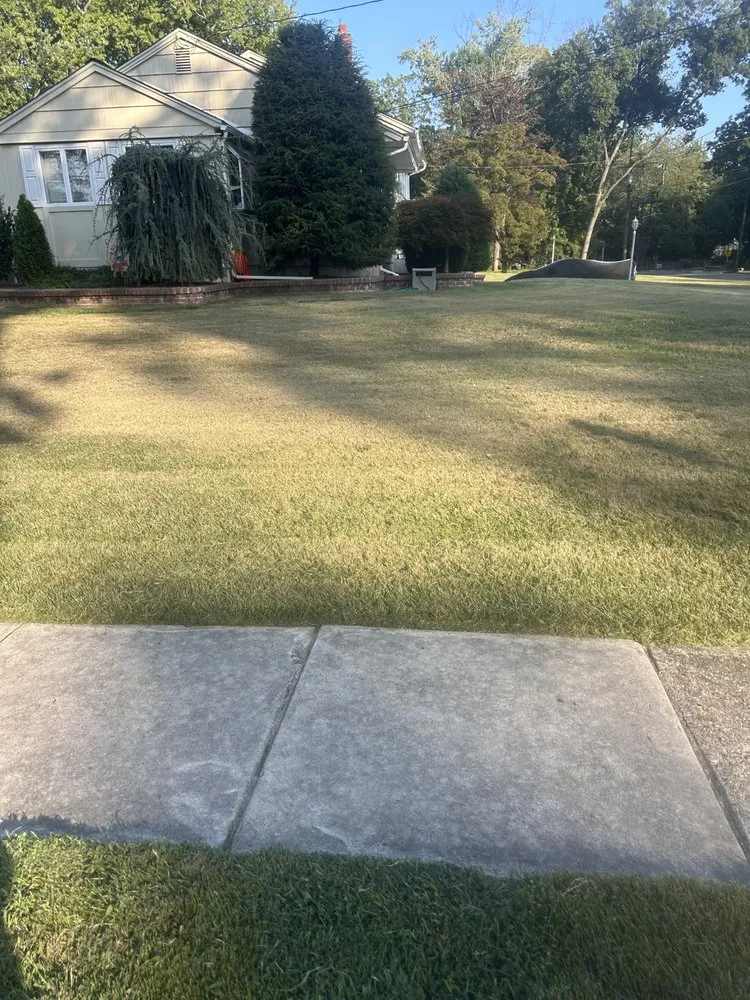 Reliable yard cleanup service for beautiful yards in Woodlynne, NJ by A1 Lawn Maintenance
