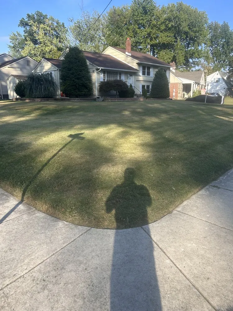 Expert landscape installation in Woodlynne, NJ - A1 Lawn Maintenance