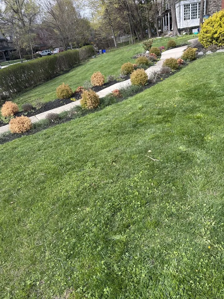 Professional yard cleanup service for residential properties in Woodlynne, NJ by A1 Lawn Maintenance